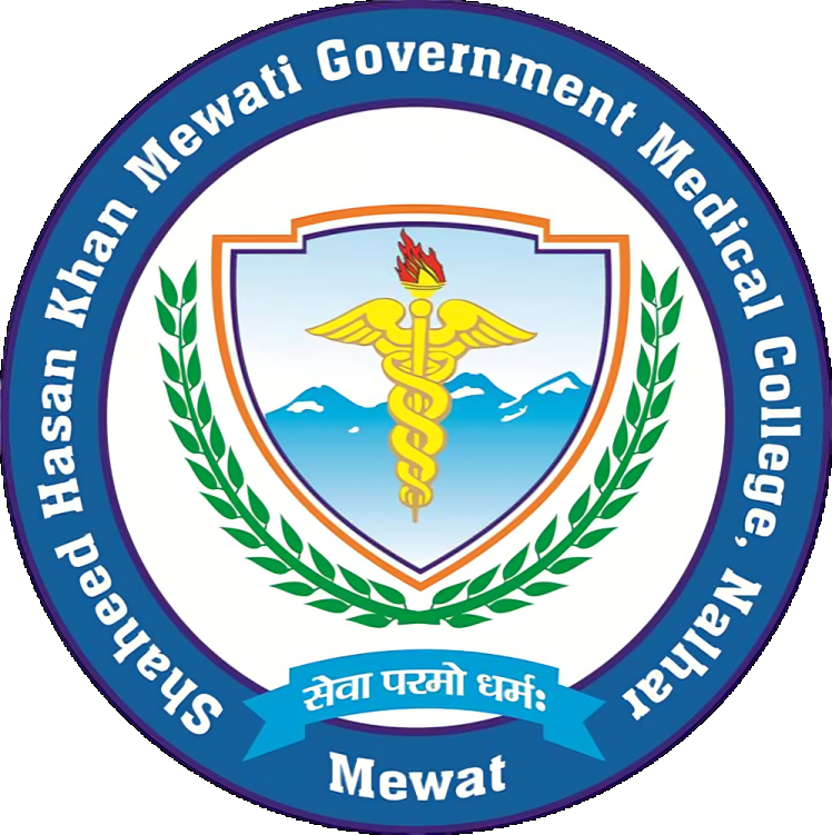 S.H.K.M. Government Medical College, Nalhar, Nuh