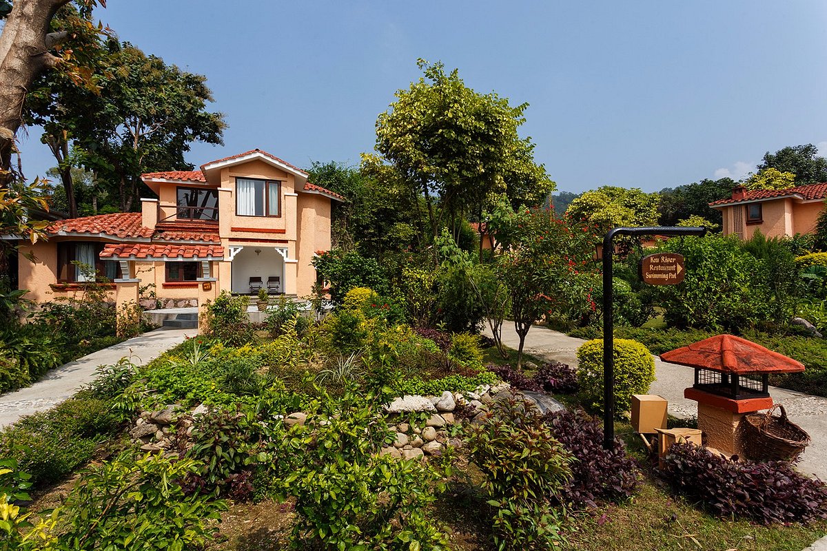 The Riverview Retreat - Corbett Resort Review: A Nature Lover's Paradise